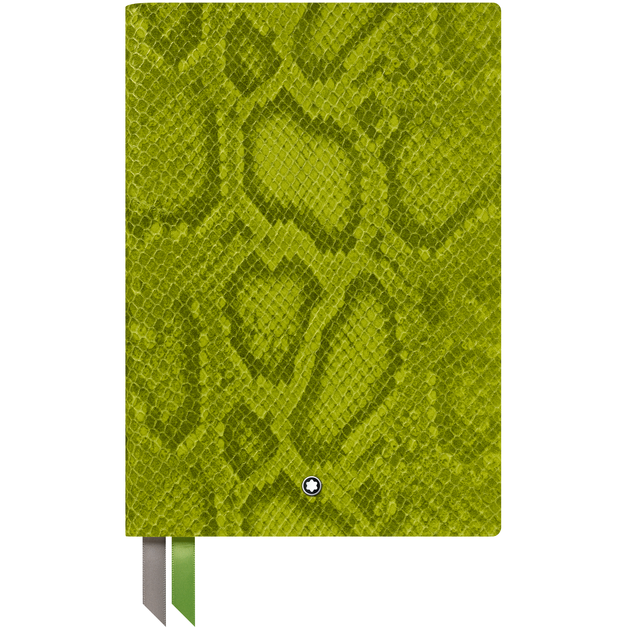 Notebook 146 Python Print, Green, image 1