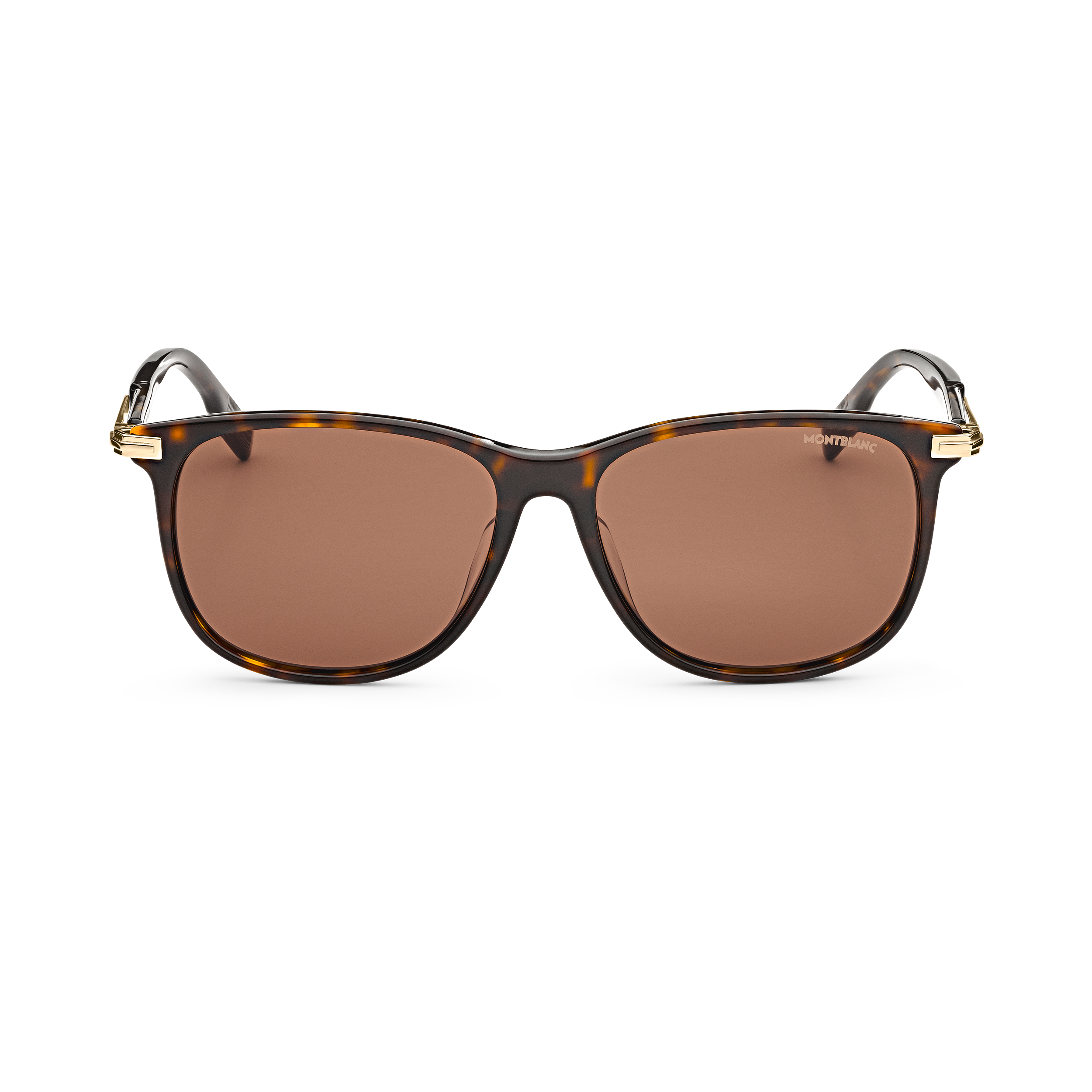 Rectangular Sunglasses with Havana-Colored Acetate Frame, image 1