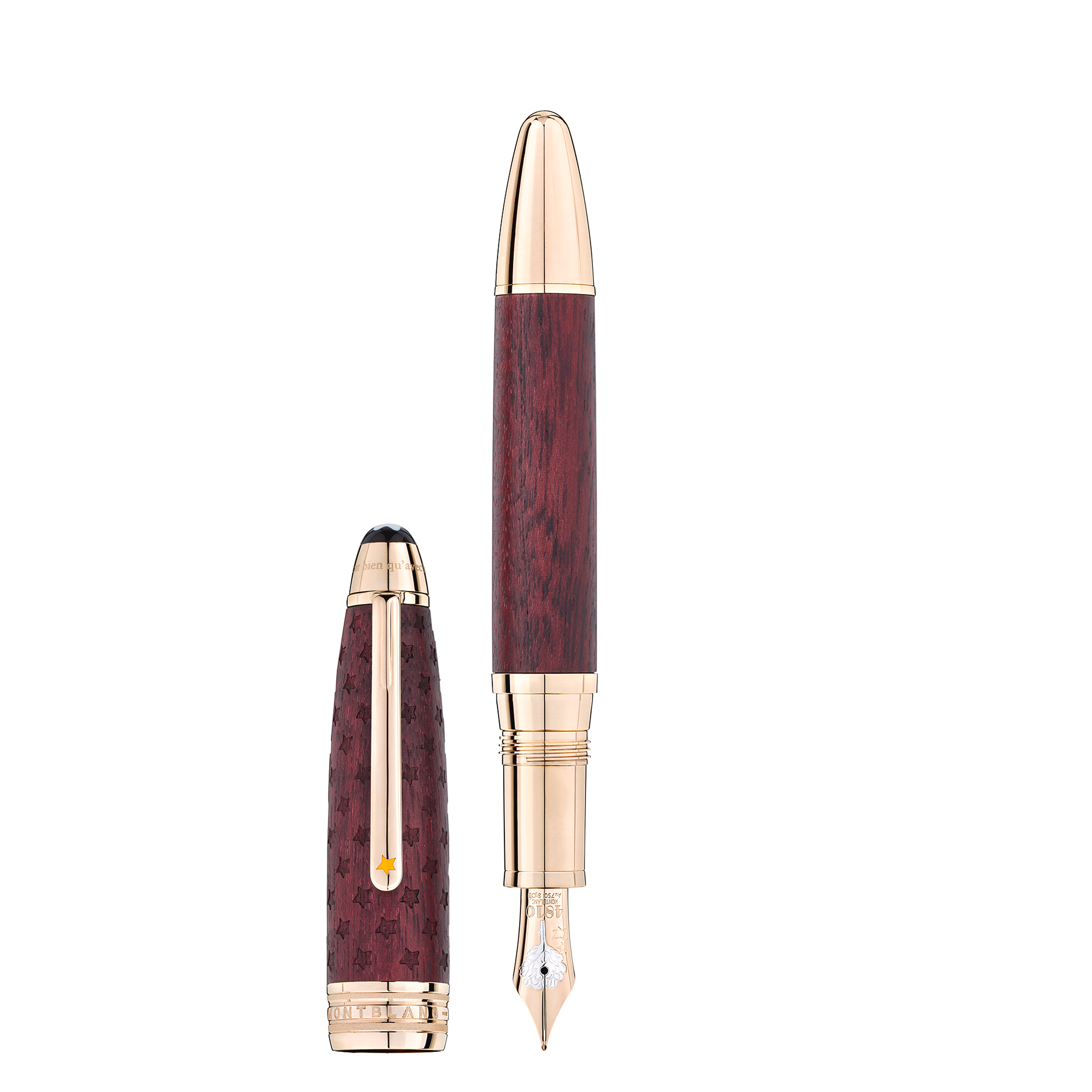 Meisterstück Le Petit Prince Solitaire LeGrand Fountain Pen