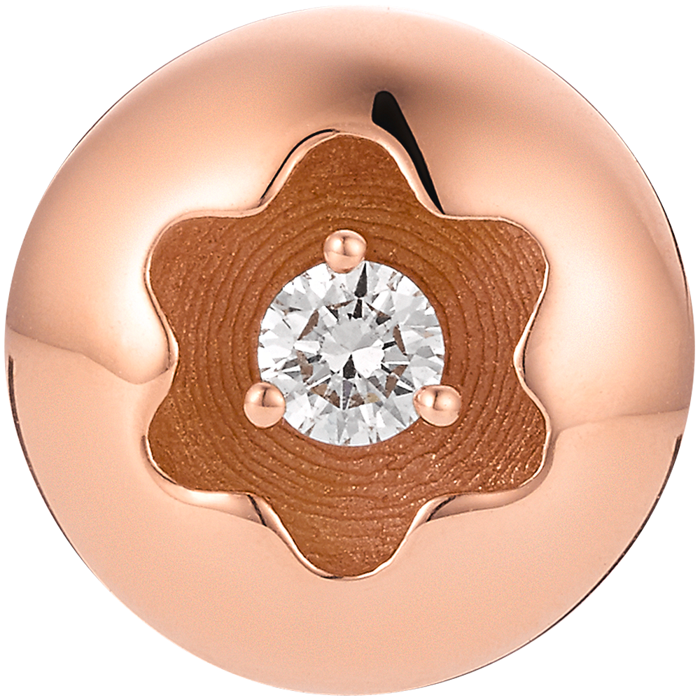 Montblanc 4810 Signet earstuds, image 5